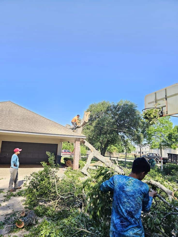 Justin C. Joseph, Owner and ISA Certified Arborist