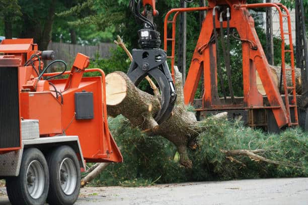 Land and lot clearing services in San Antonio